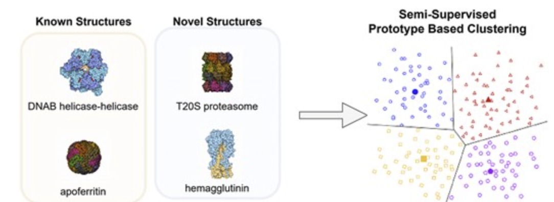 Cryo-ET structure discovery overview
